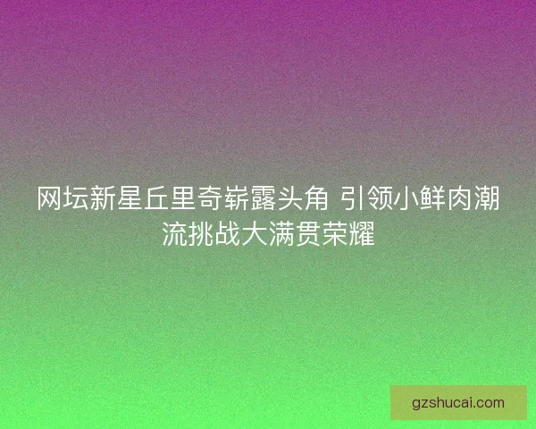 网坛新星丘里奇崭露头角 引领小鲜肉潮流挑战大满贯荣耀